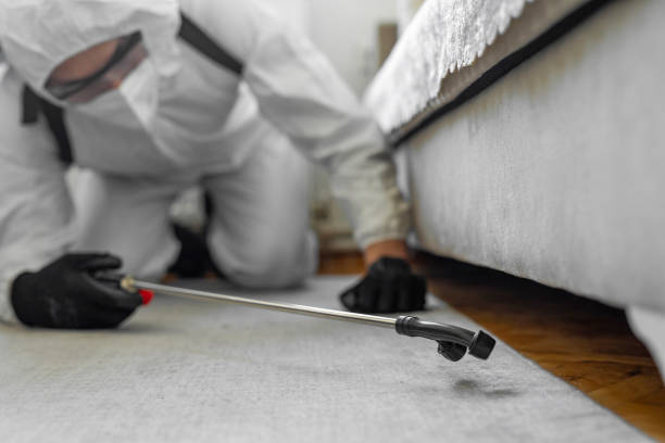 Professional Termite Control technician working in Neosho County County, KS